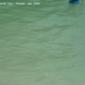 20090420 Phi Phi Island - Maya Bay- Koh Khai  75 of 182 